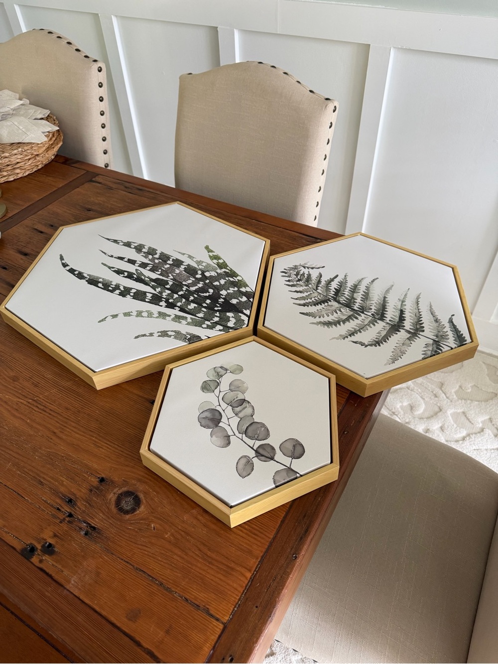 Set of 3 Hexagonal Botanical Wall Art with Gold Frames